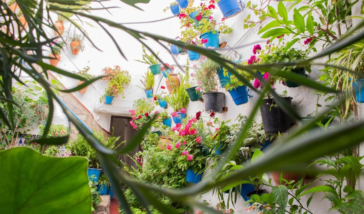 Casa Arco De La Pastora Apartment Medina-Sidonia Ngoại thất bức ảnh