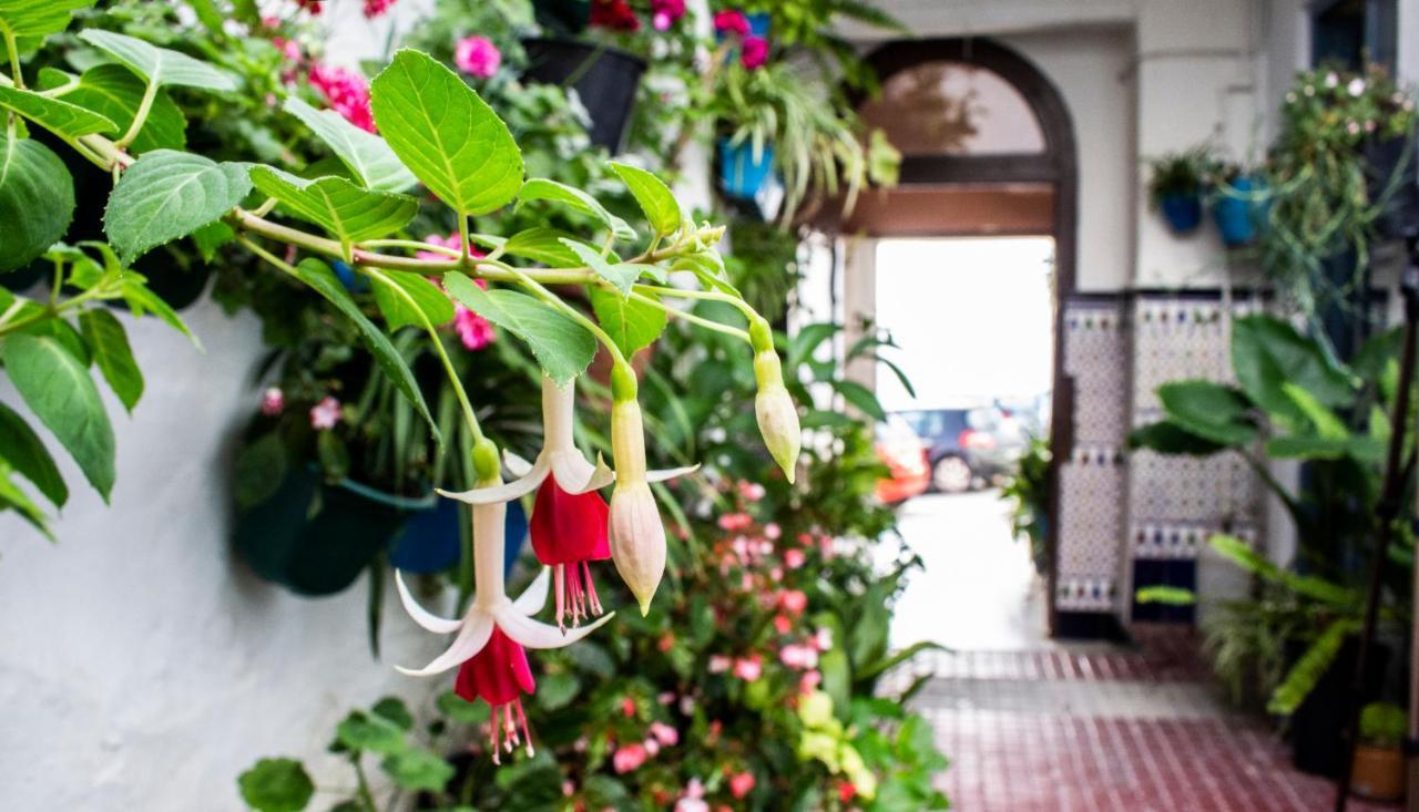 Casa Arco De La Pastora Apartment Medina-Sidonia Ngoại thất bức ảnh